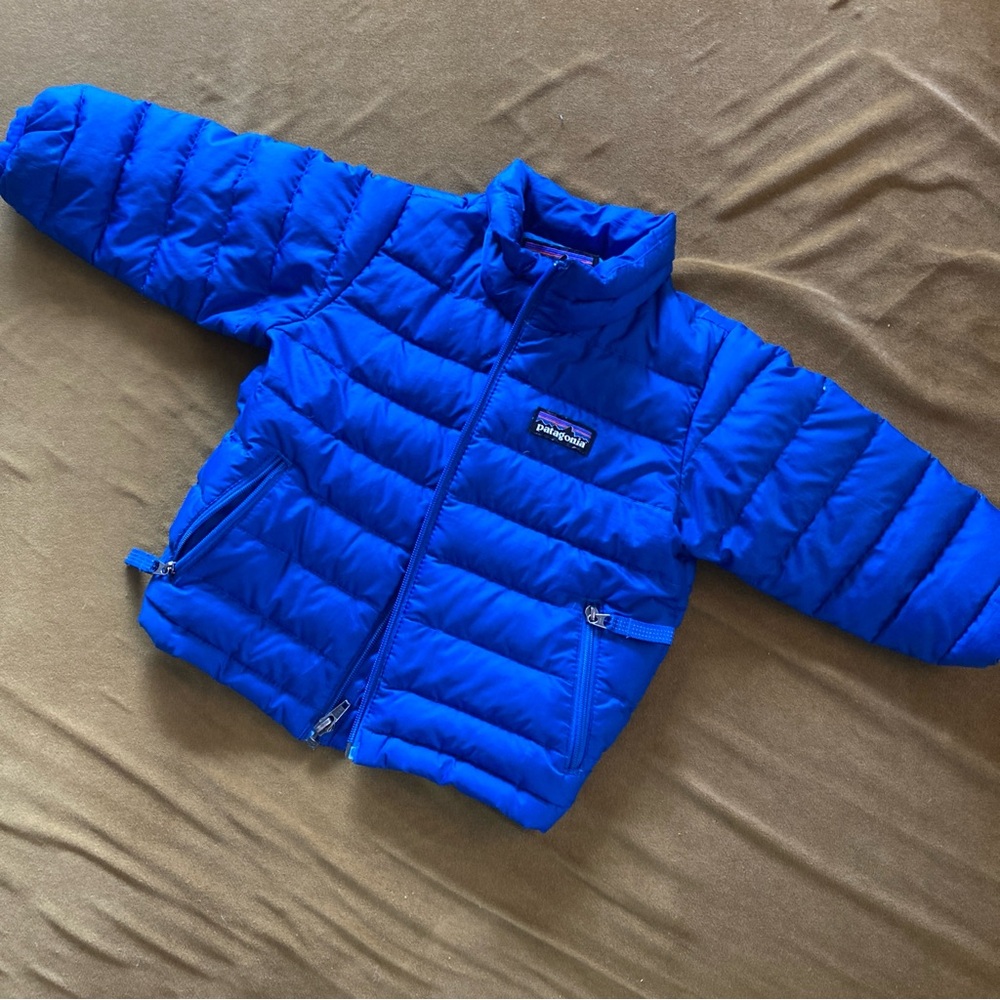 Patagonia Blue Puffer Jacket